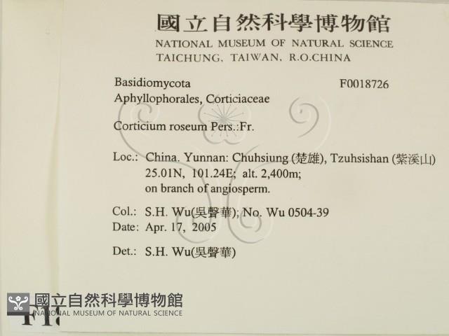 登錄號:F0018726藏品圖，第2張