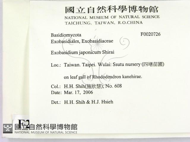 登錄號:F0020726藏品圖，第2張