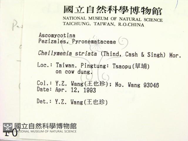 登錄號:F0000726藏品圖，第2張