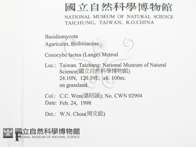 登錄號:F0010726藏品圖，第2張