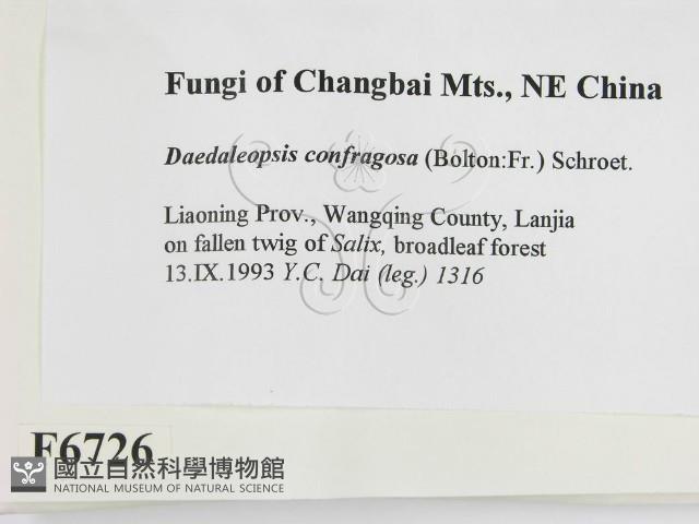 登錄號:F0006726藏品圖，第2張