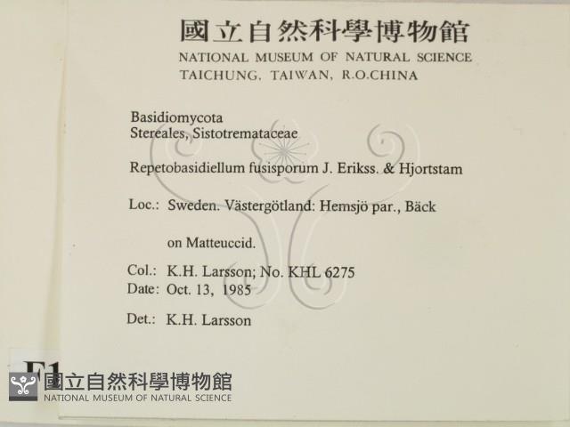 登錄號:F0016726藏品圖，第2張