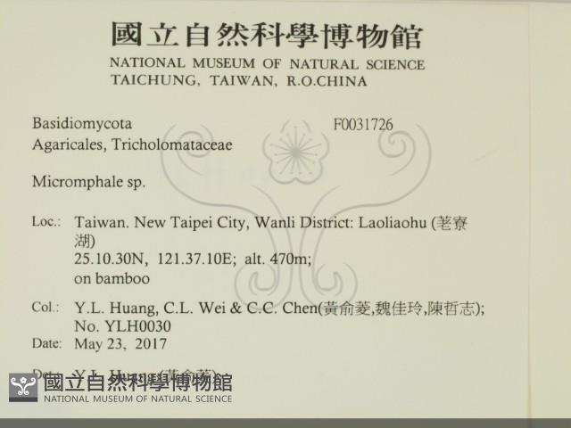 登錄號:F0031726藏品圖，第2張