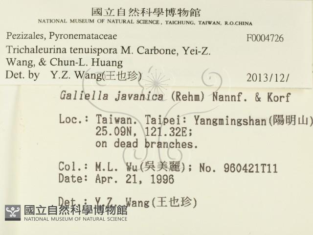 登錄號:F0004726藏品圖，第2張