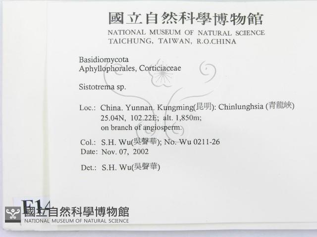 登錄號:F0014726藏品圖，第2張