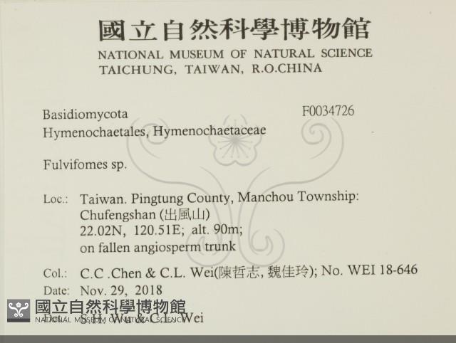 登錄號:F0034726藏品圖，第2張