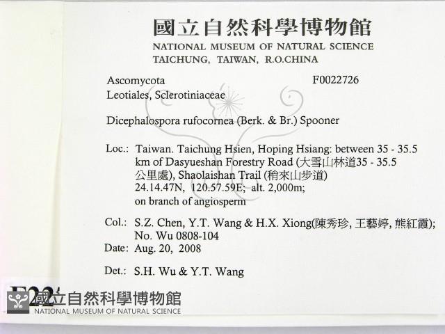 登錄號:F0022726藏品圖，第2張