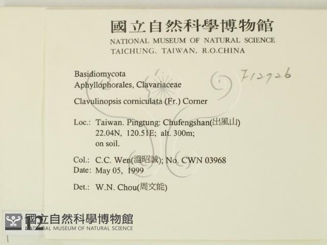 登錄號:F0012726藏品圖，第2張