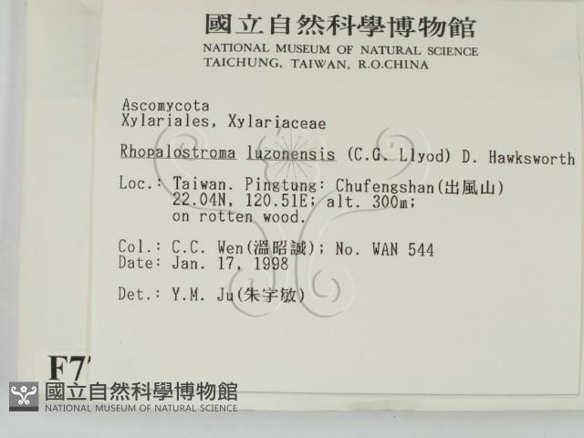 登錄號:F0007726藏品圖，第2張