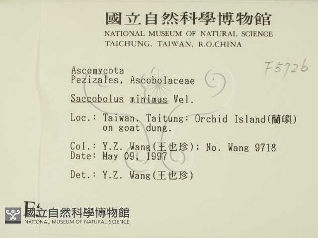 登錄號:F0005726藏品圖，第2張