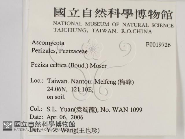 登錄號:F0019726藏品圖，第2張