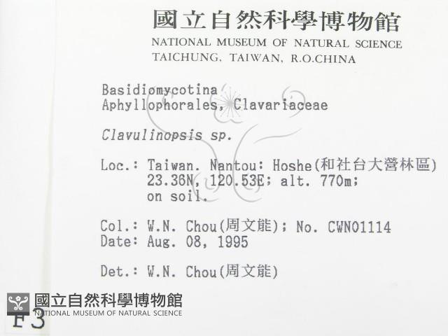 登錄號:F0003726藏品圖，第2張