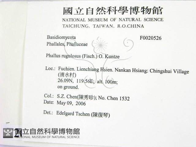 登錄號:F0020526藏品圖，第2張