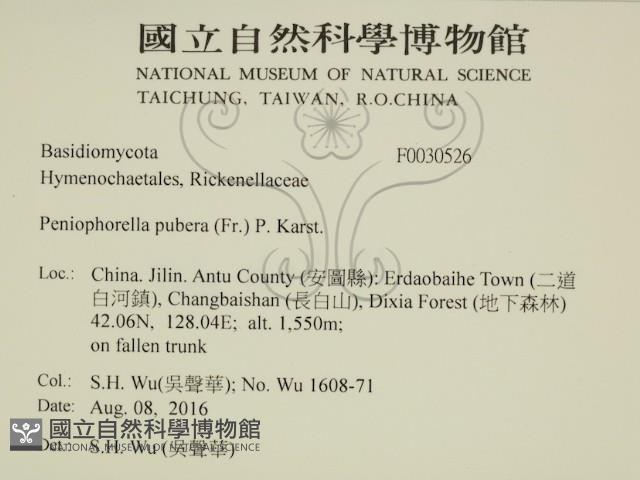 登錄號:F0030526藏品圖，第2張