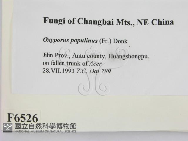 登錄號:F0006526藏品圖，第2張