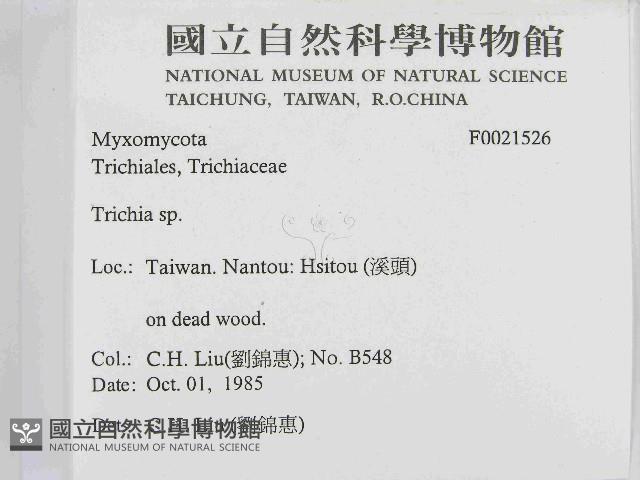登錄號:F0021526藏品圖，第2張