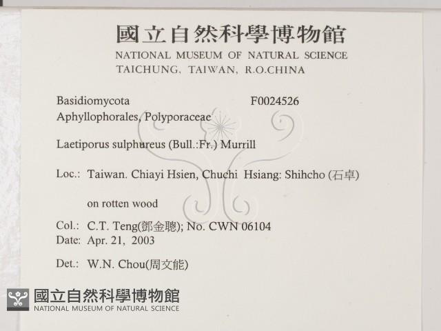 登錄號:F0024526藏品圖，第2張