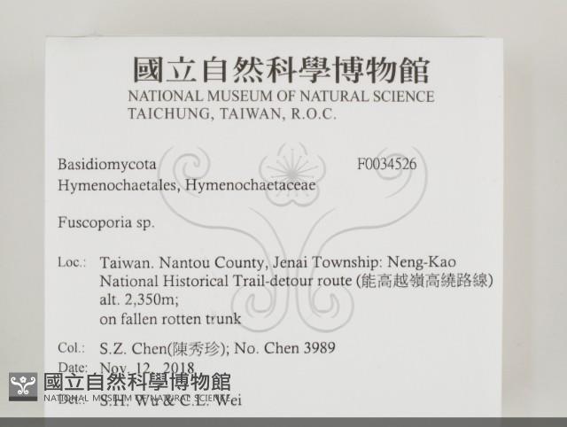 登錄號:F0034526藏品圖，第2張