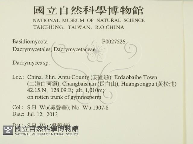 花耳屬藏品圖，第2張