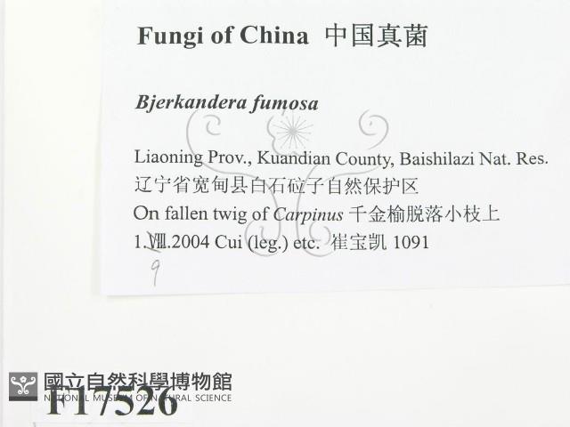 登錄號:F0017526藏品圖，第2張