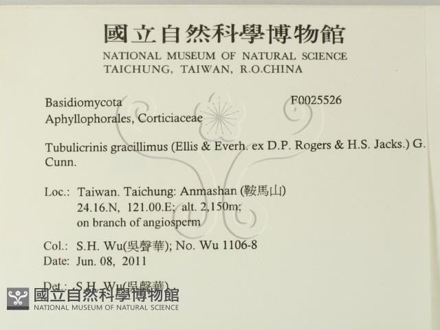 登錄號:F0025526藏品圖，第2張