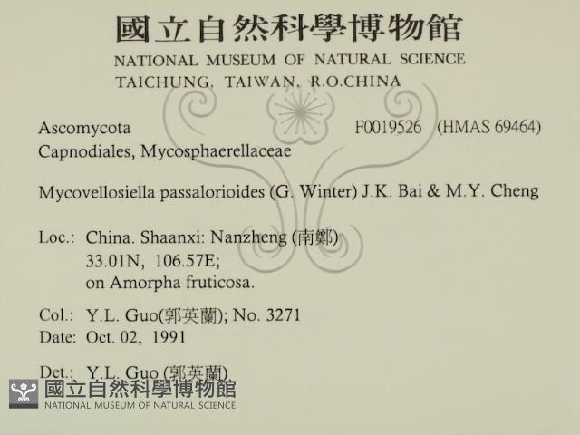 登錄號:F0019526藏品圖，第2張