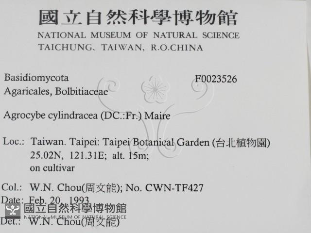 登錄號:F0023526藏品圖，第2張