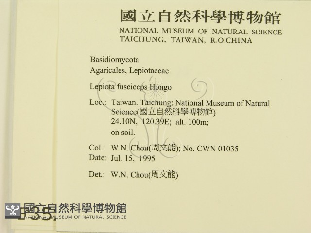登錄號:F0003526藏品圖，第2張
