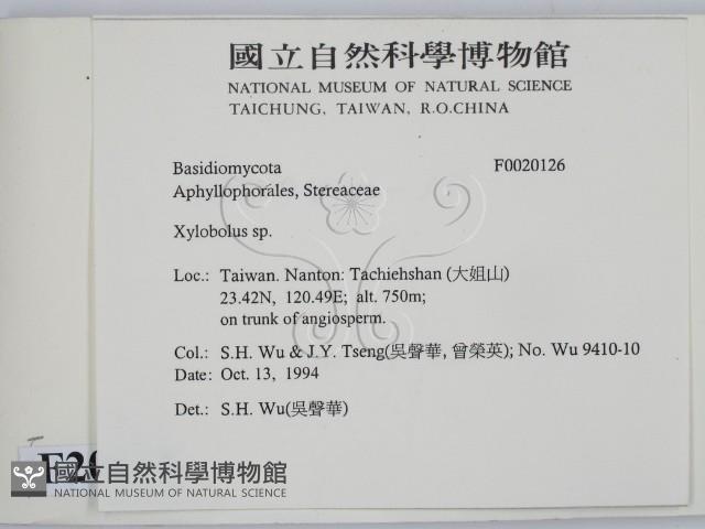 登錄號:F0020126藏品圖，第2張