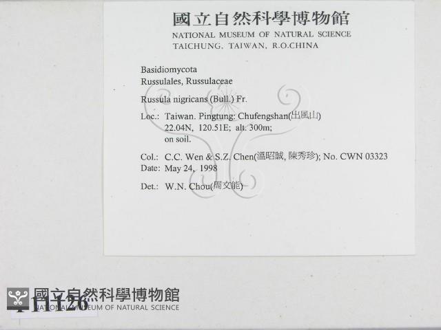 登錄號:F0011126藏品圖，第2張