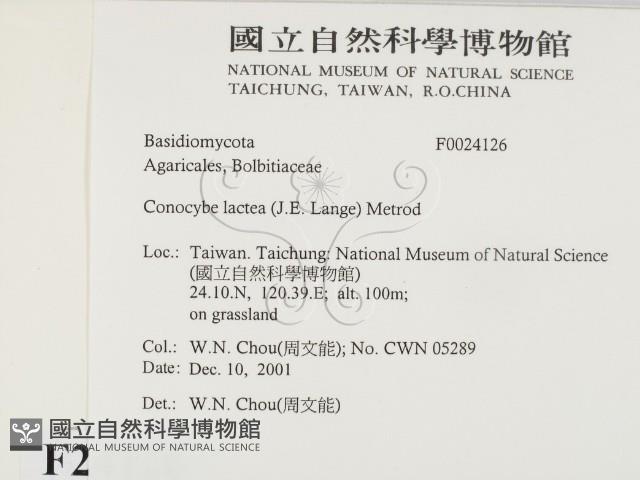 登錄號:F0024126藏品圖，第2張