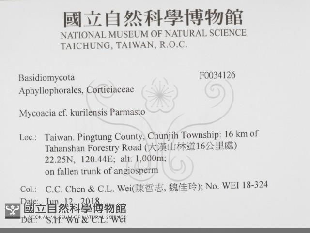 登錄號:F0034126藏品圖，第2張