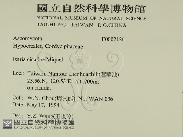 登錄號:F0002126藏品圖，第2張