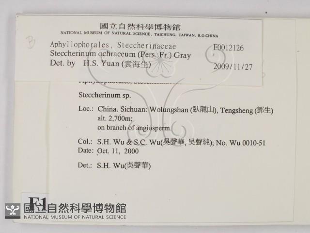 登錄號:F0012126藏品圖，第2張
