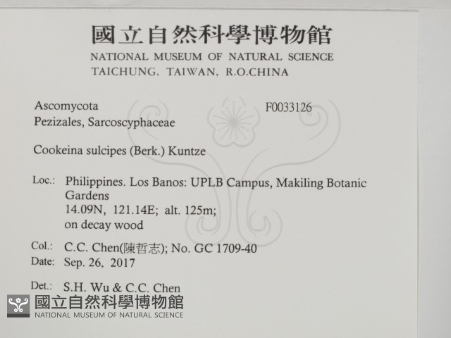 登錄號:F0033126藏品圖，第2張