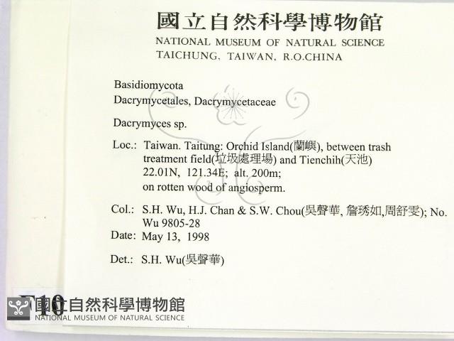 花耳屬藏品圖，第2張