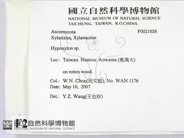 登錄號:F0021026藏品圖，第2張