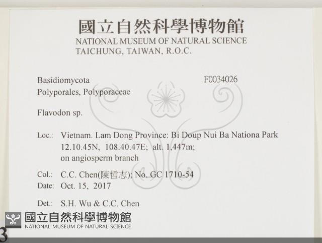 登錄號:F0034026藏品圖，第2張
