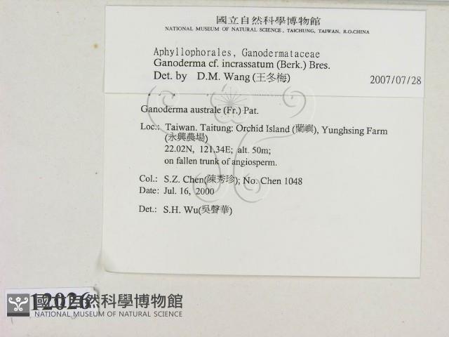 登錄號:F0012026藏品圖，第2張