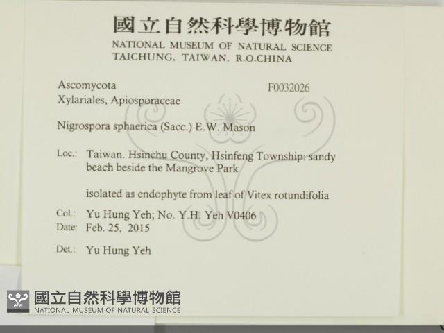 登錄號:F0032026藏品圖，第2張