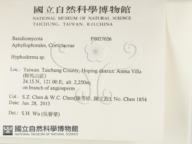 絲皮菌屬藏品圖，第2張