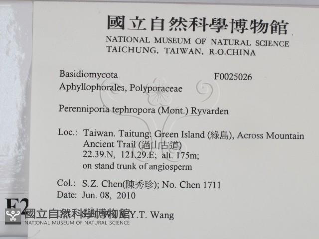 登錄號:F0025026藏品圖，第2張