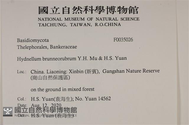 登錄號:F0035026藏品圖，第2張
