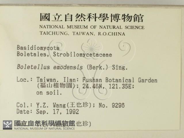 登錄號:F0000326藏品圖，第2張
