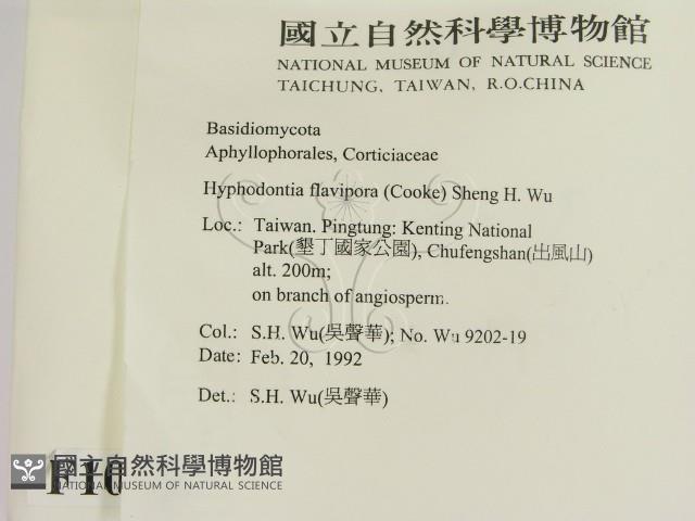 登錄號:F0010326藏品圖，第2張