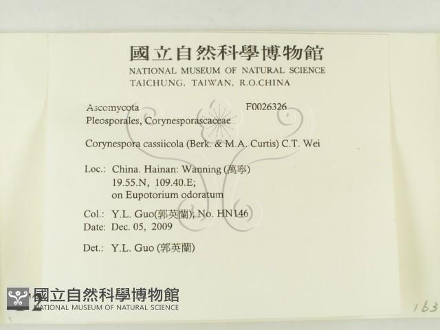 登錄號:F0026326藏品圖，第2張