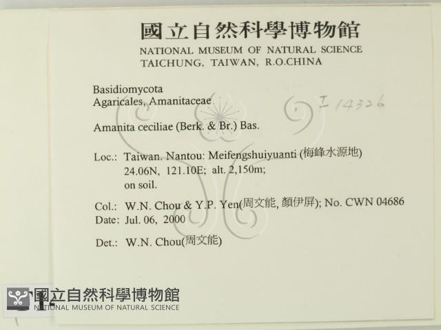 登錄號:F0014326藏品圖，第2張