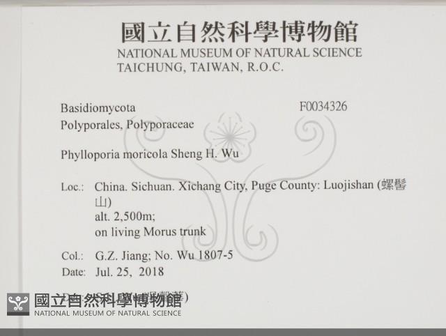 登錄號:F0034326藏品圖，第2張