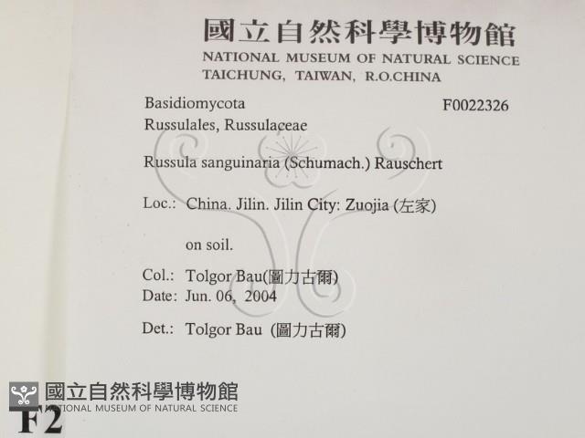 登錄號:F0022326藏品圖，第2張