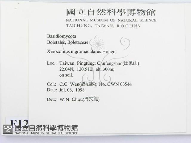 登錄號:F0012326藏品圖，第2張
